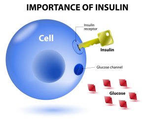 importancia de la insulina